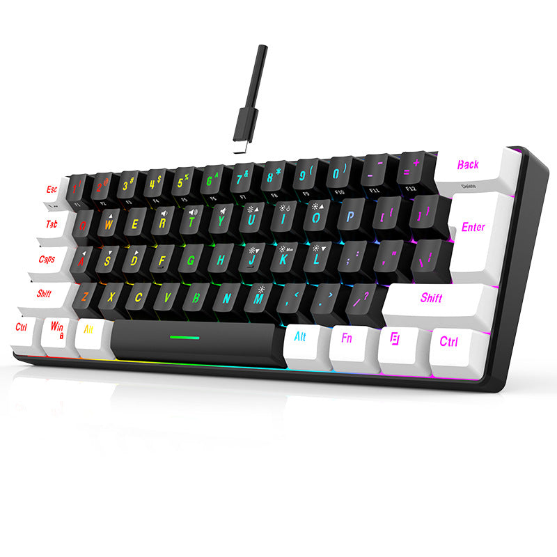 Mini Portable 60% Wired Gaming Keyboard, Compact 61-Key RGB Luminous Translucent USB Keyboard