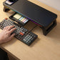 Ergonomic RGB Monitor Stand with USB Hub